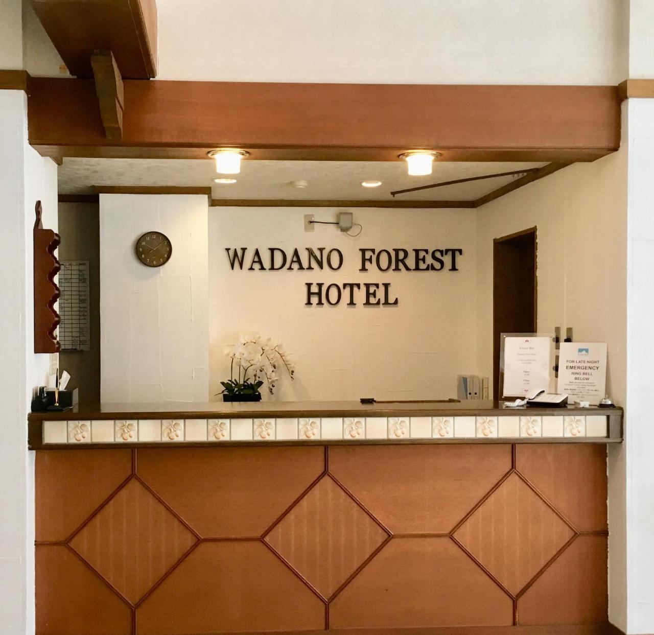 Wadano Forest Hotel & Apartments 白马村 外观 照片