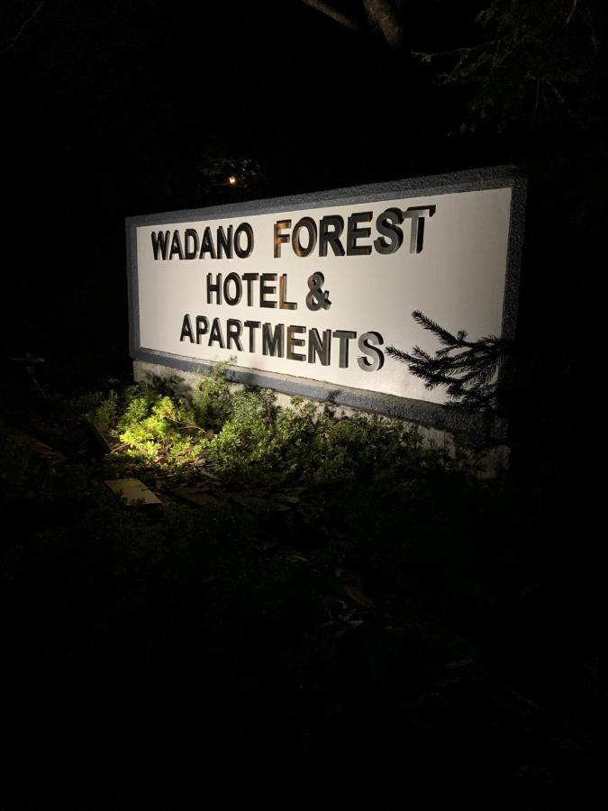 Wadano Forest Hotel & Apartments 白马村 外观 照片